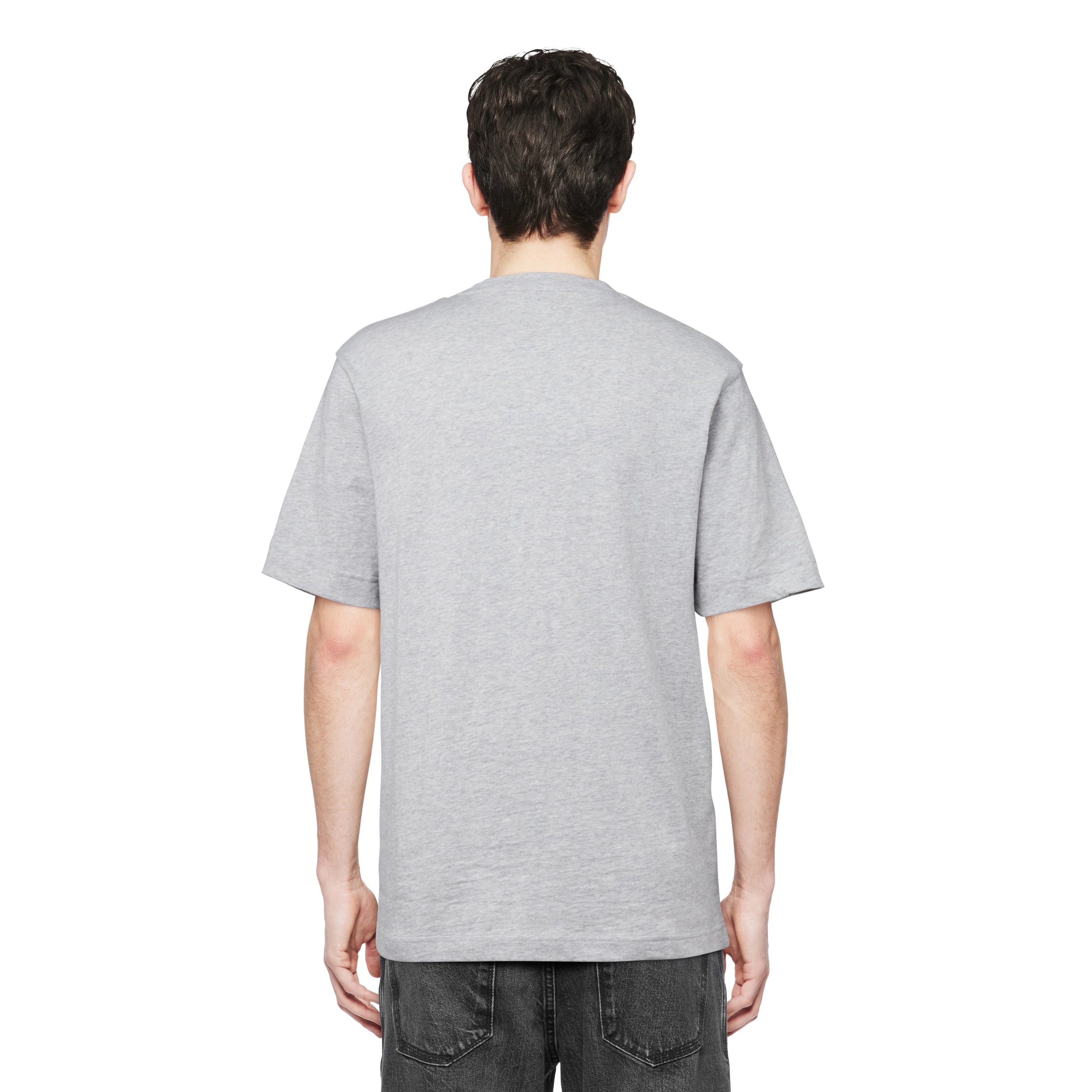 Raphael T-Shirt light grey melange