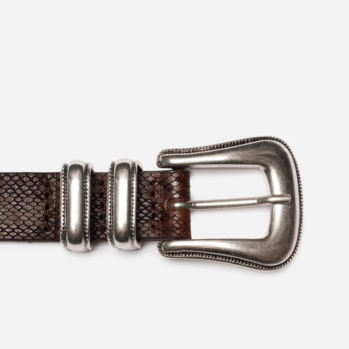Western Faux Snake Silver Belt dark brown