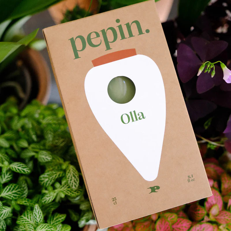 Olla Green Pepin Plantcare
