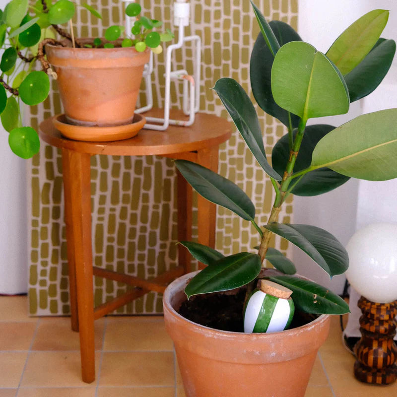 Olla Stripe Green & Ivory Pepin Plantcare