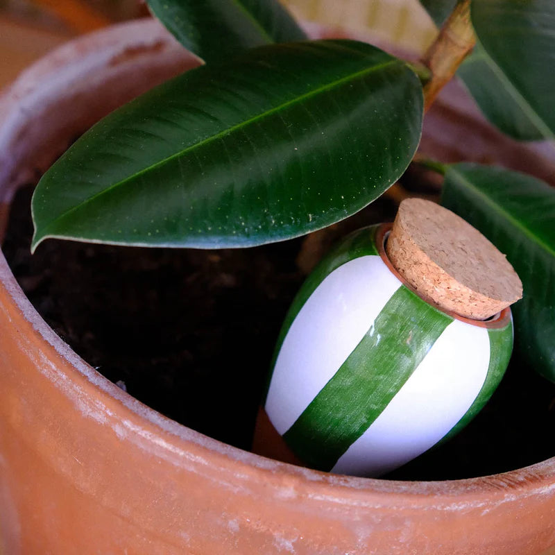 Olla Stripe Green & Ivory Pepin Plantcare