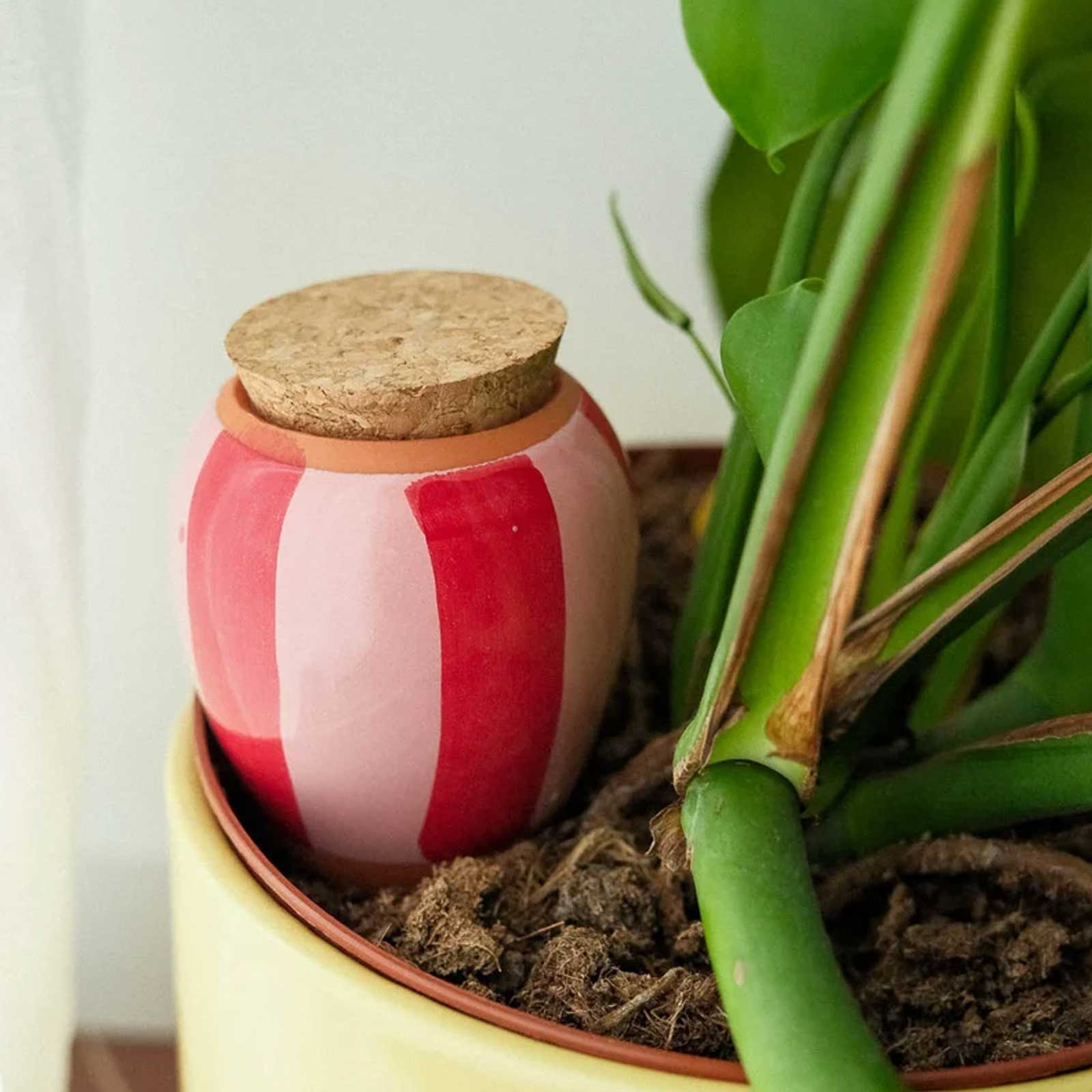 Olla Stripes pink/red