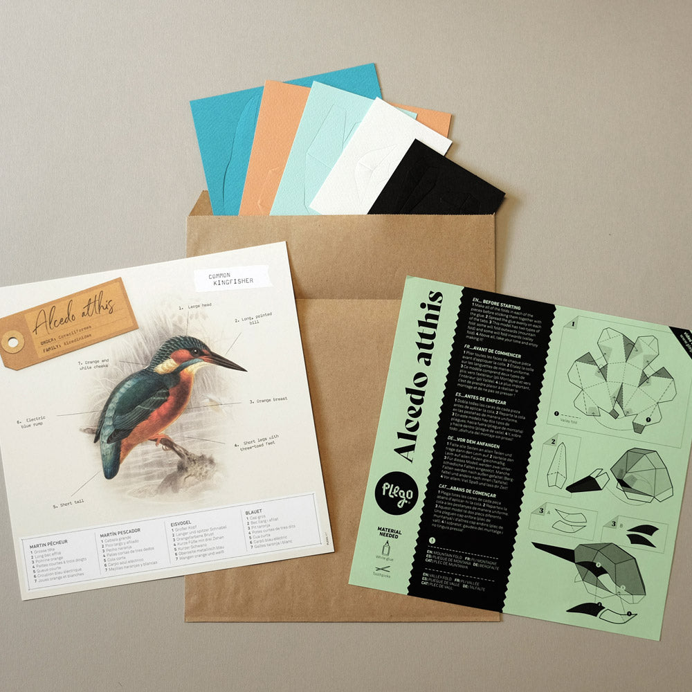 Alcedo Atthis Paper Figure Kit Plego Paper
