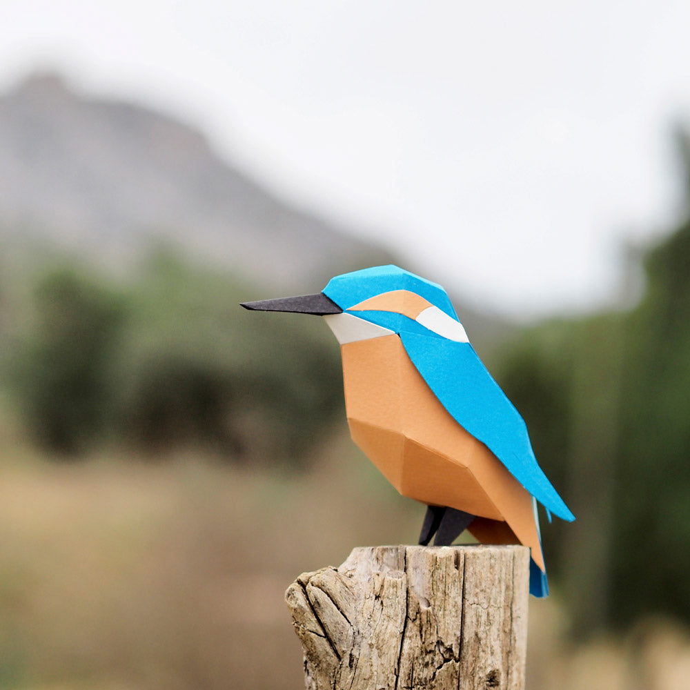 Alcedo Atthis Paper Figure Kit Plego Paper