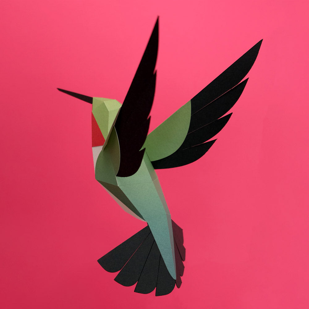 Selasphorus Paper Figure Kit