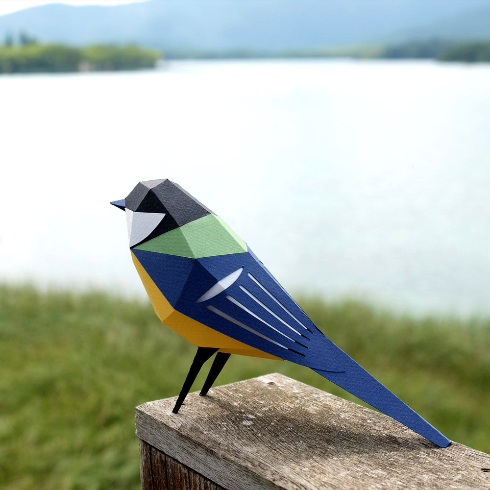 Parus Major Paper Figure Kit Plego Paper