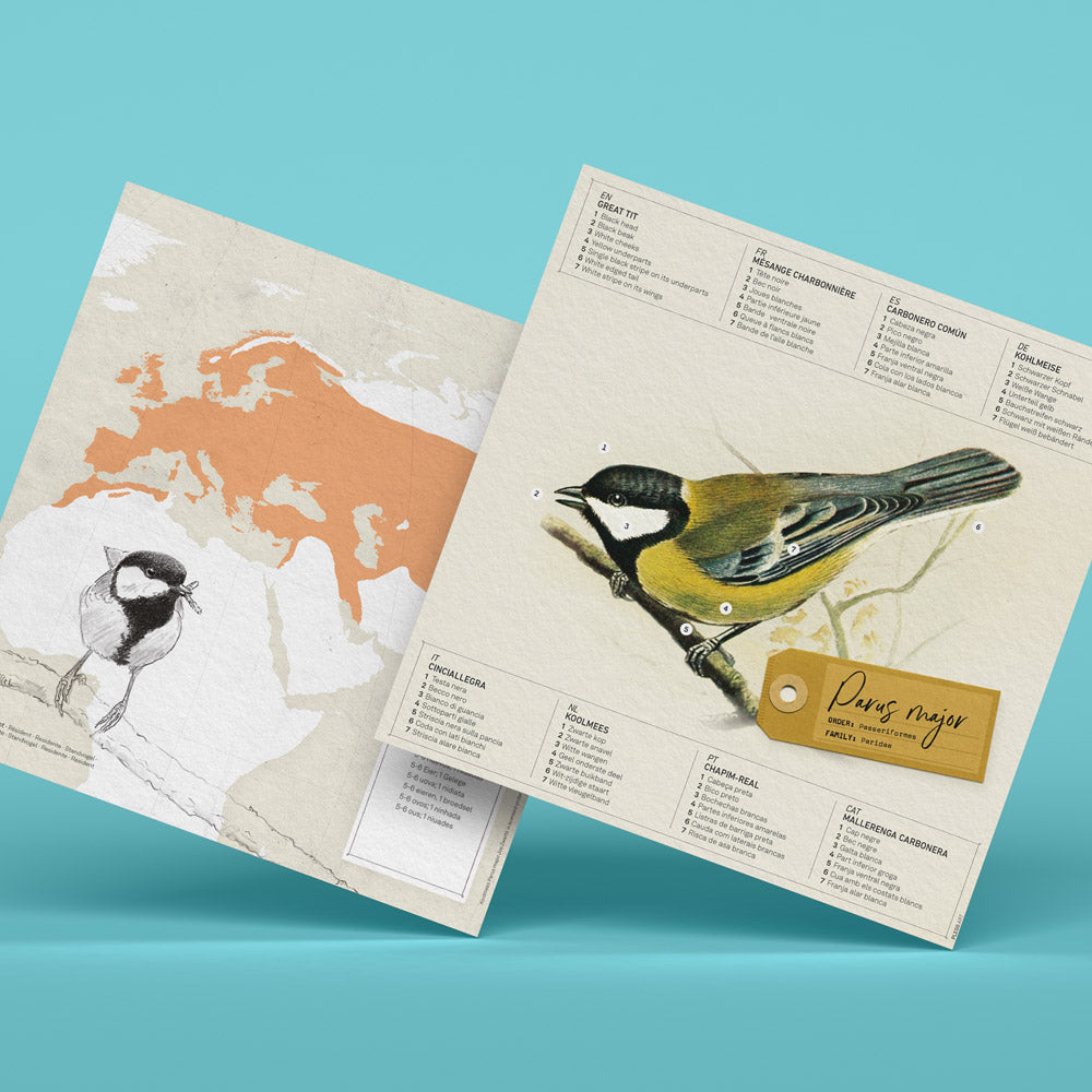 Parus Major Paper Figure Kit Plego Paper