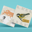 Parus Major Paper Figure Kit Plego Paper