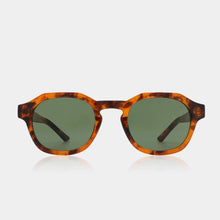 Zan Sunglasses havana