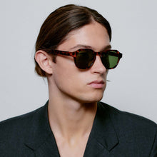 Zan Sunglasses havana