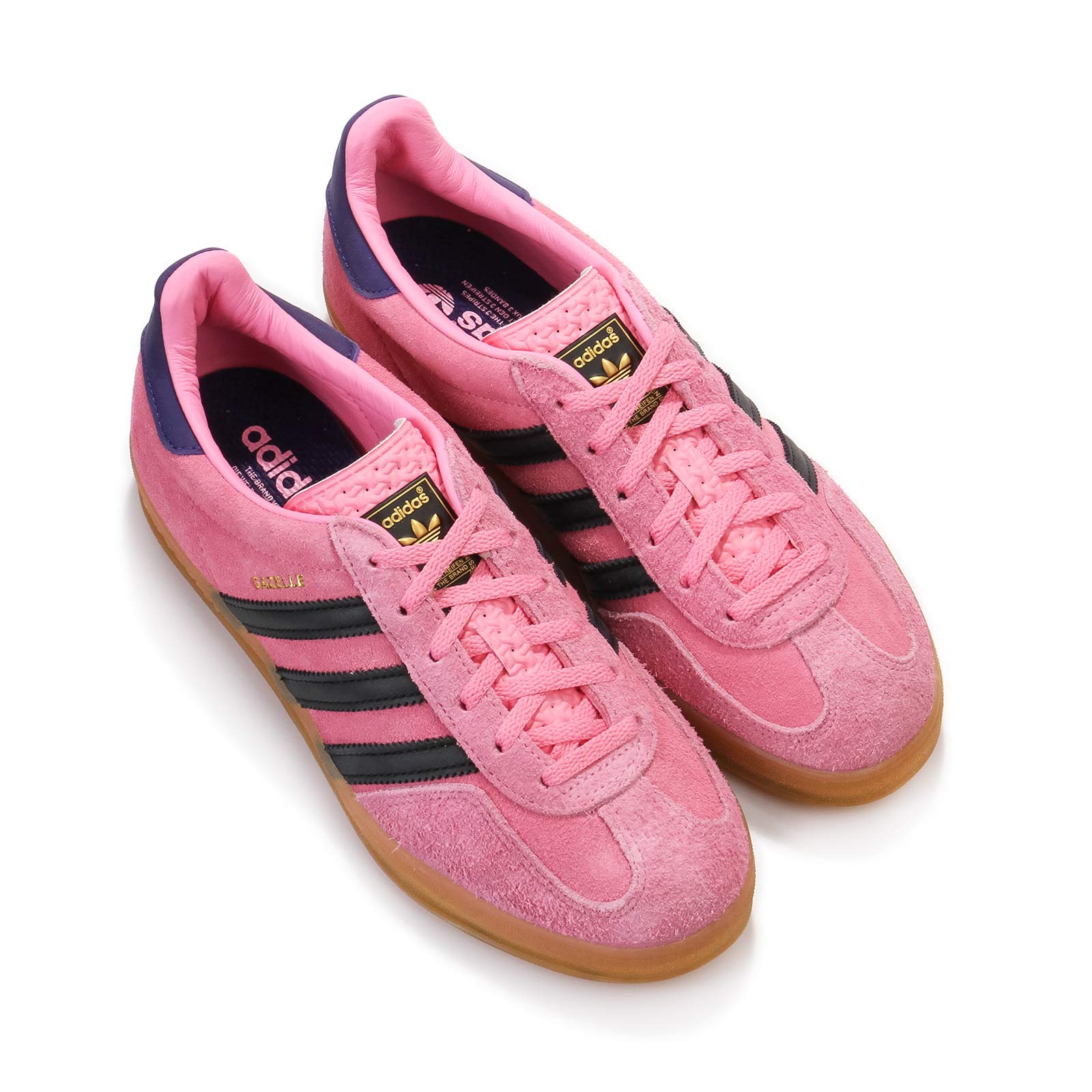 Gazelle Indoor W bliss pink/core black/collegiate purple