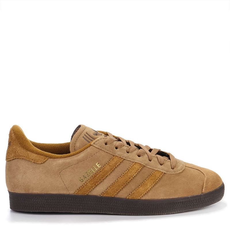 Gazelle brown desert