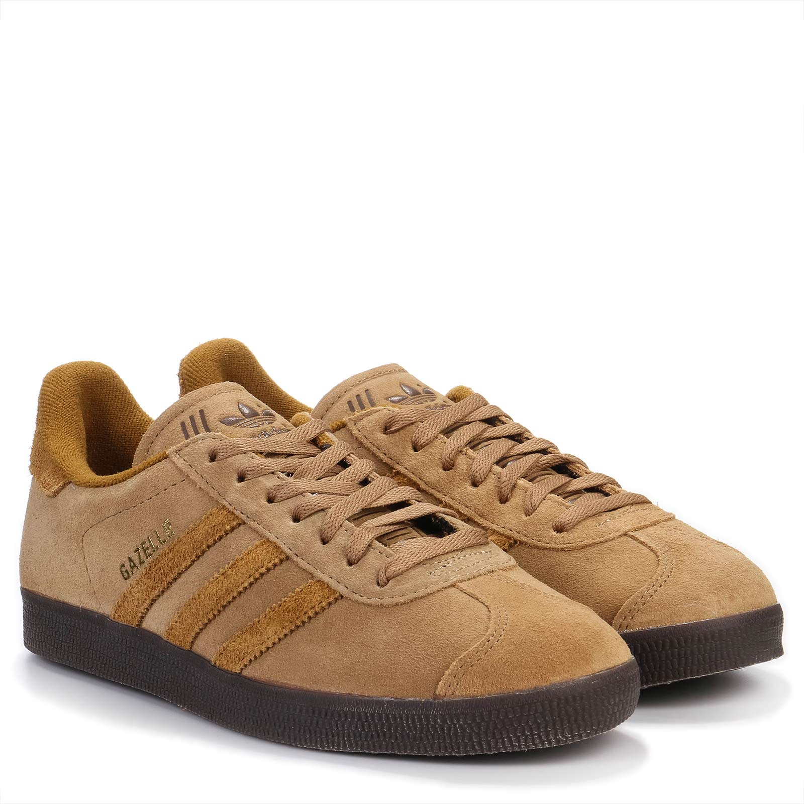 Gazelle brown desert