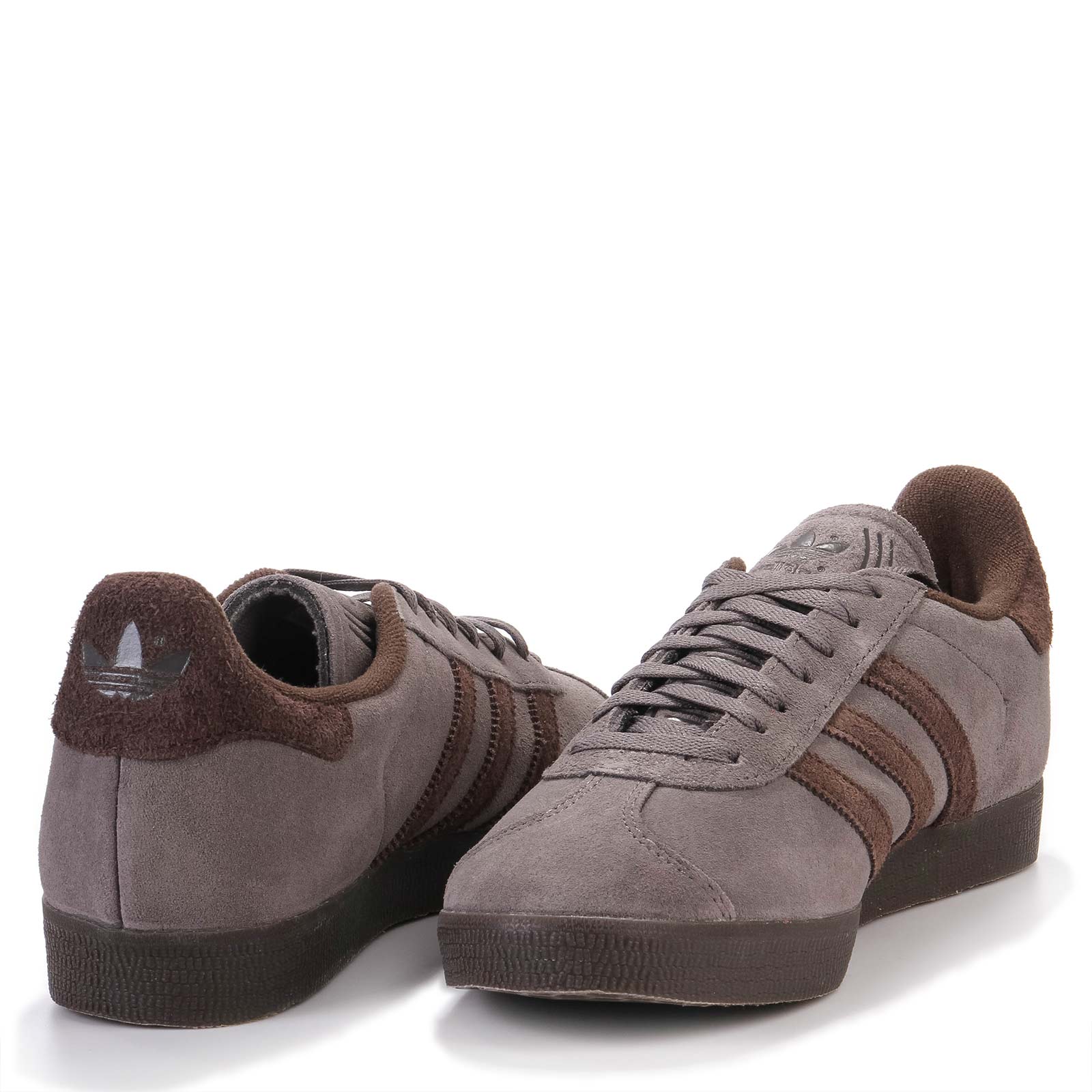 Gazelle chacoa brown