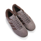 Gazelle chacoa brown