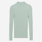 Alaania Jumper polar green