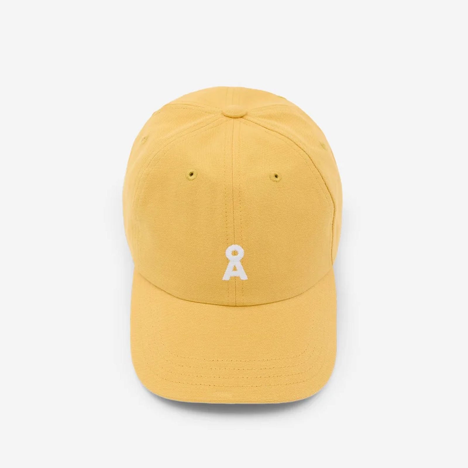 Yenaas Bold Cap sunflower