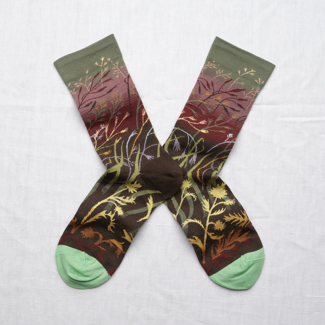 Cedar Grasses Socks DC801