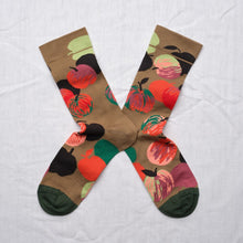 Pomme taupe Socks CU201 Bonne Maison