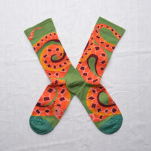 Serpent avocat Socks EV8-01 Bonne Maison