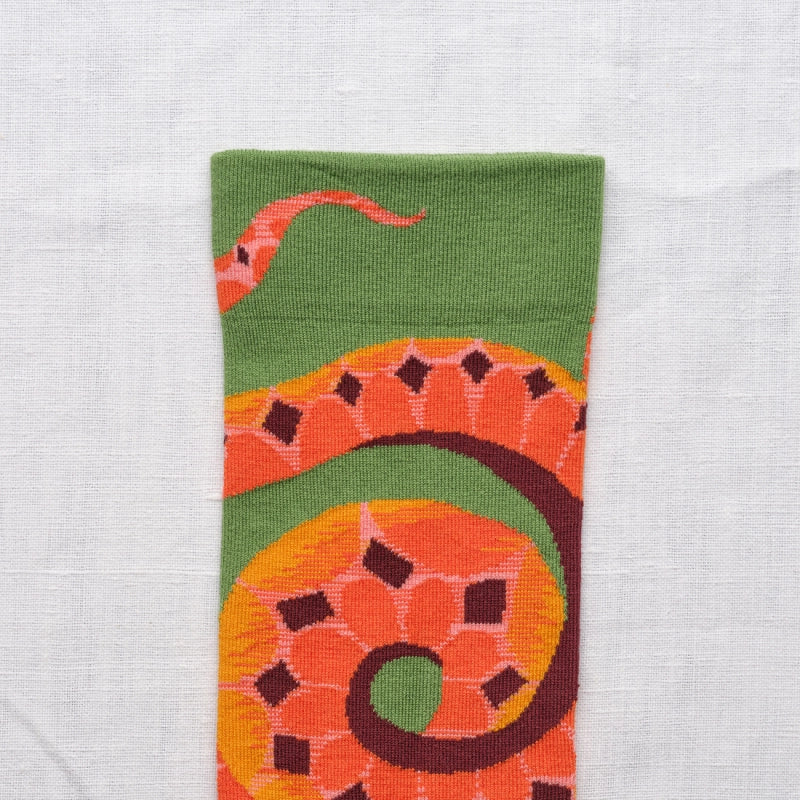 Serpent avocat Socks EV8-01 Bonne Maison