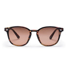 Alva Sunglasses turtle brown/brown CHPO
