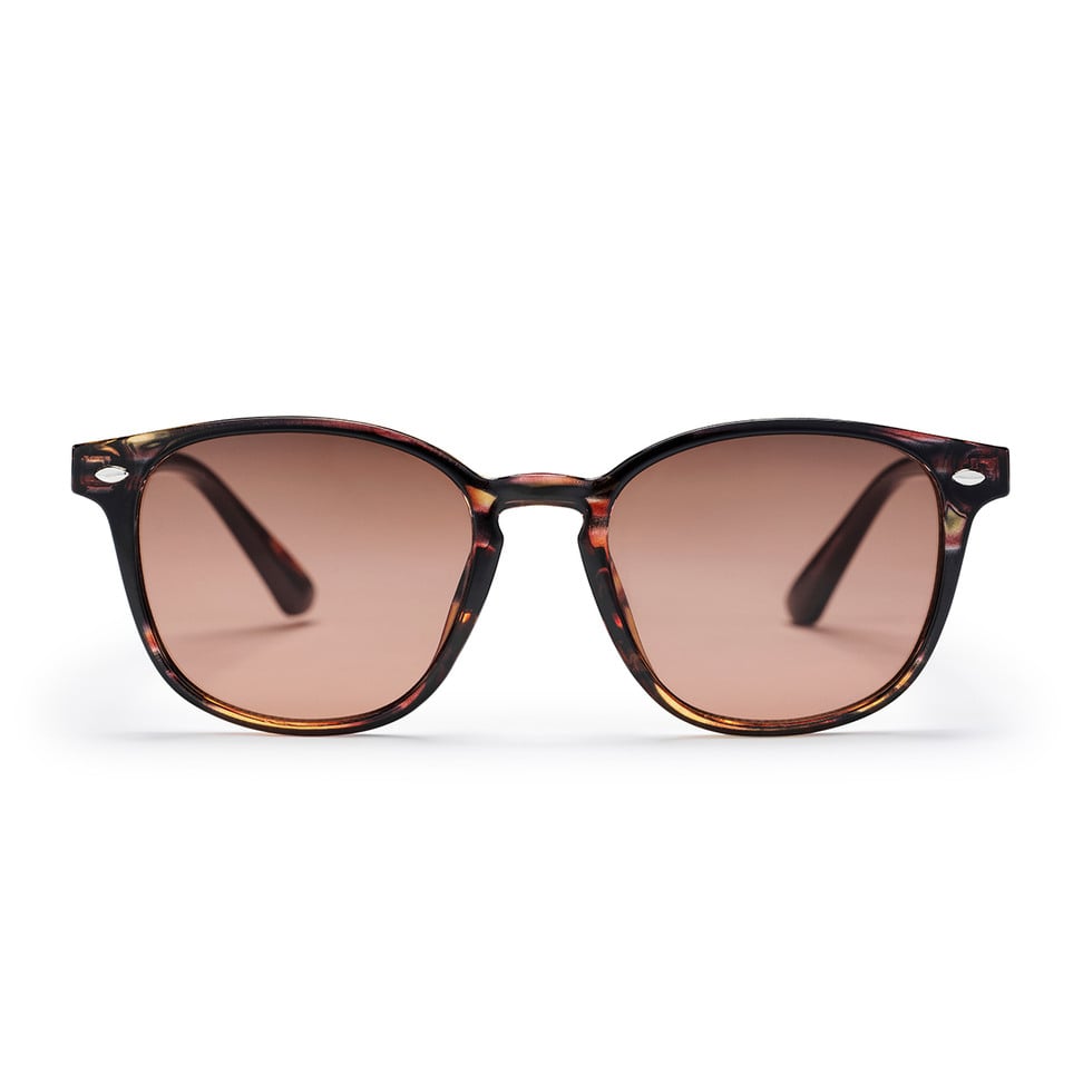 Alva Sunglasses turtle brown/brown CHPO