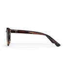 Alva Sunglasses turtle brown/brown CHPO