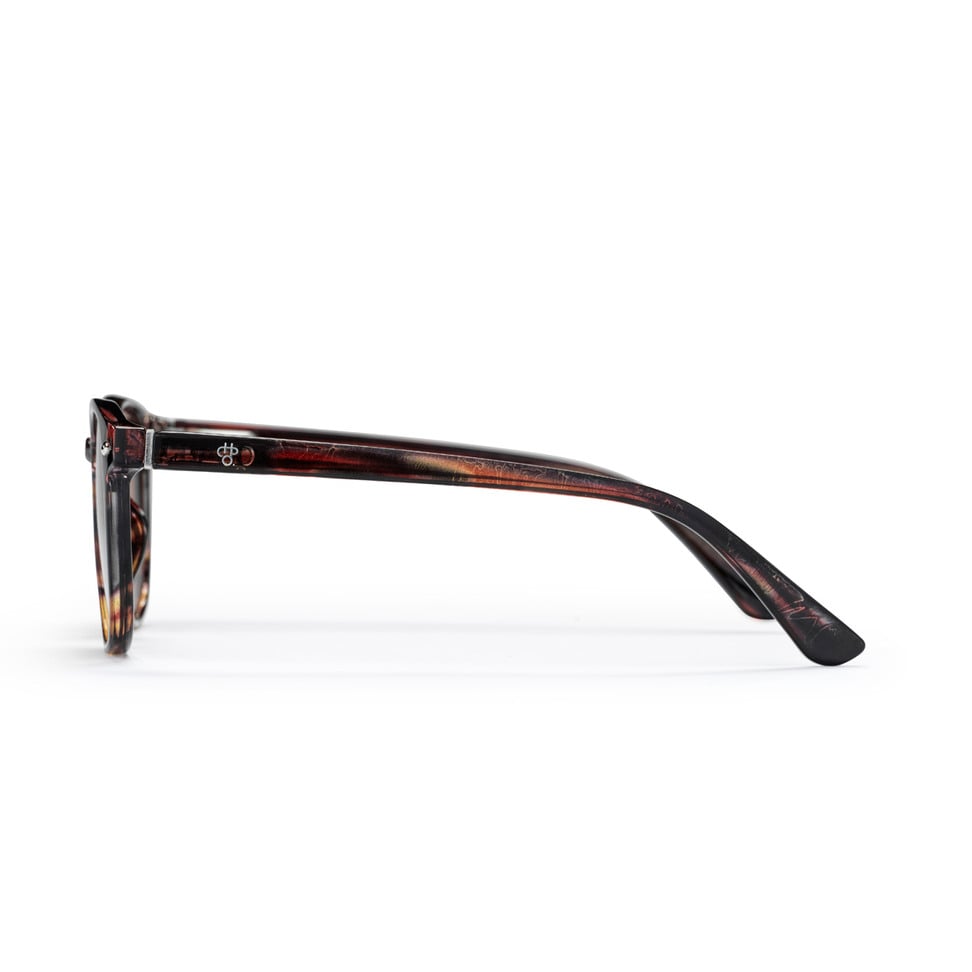 Alva Sunglasses turtle brown/brown CHPO