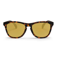 Bodhi Sunglasses turtle brown/brown CHPO