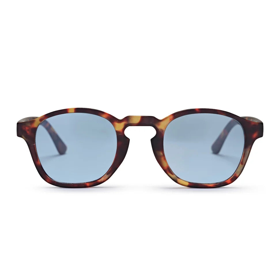 Gee Sunglasses turtle brown/blue CHPO