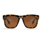 Haze Sunglasses turtle brown/brown CHPO