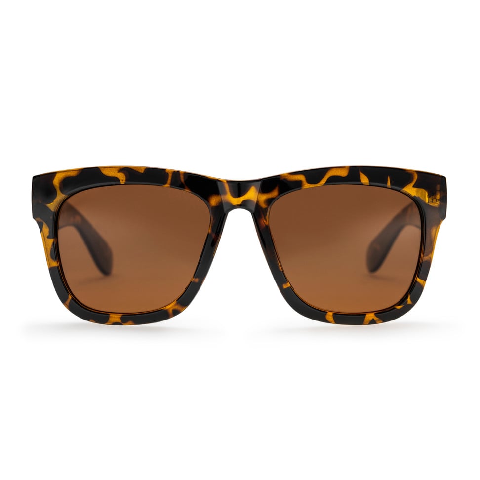 Haze Sunglasses turtle brown/brown CHPO