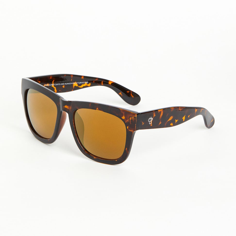 Haze Sunglasses turtle brown/brown CHPO