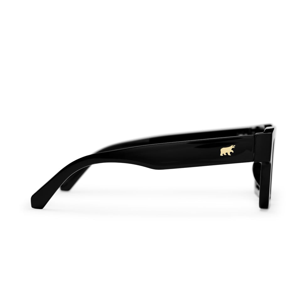 Max Sunglasses black/brown CHPO