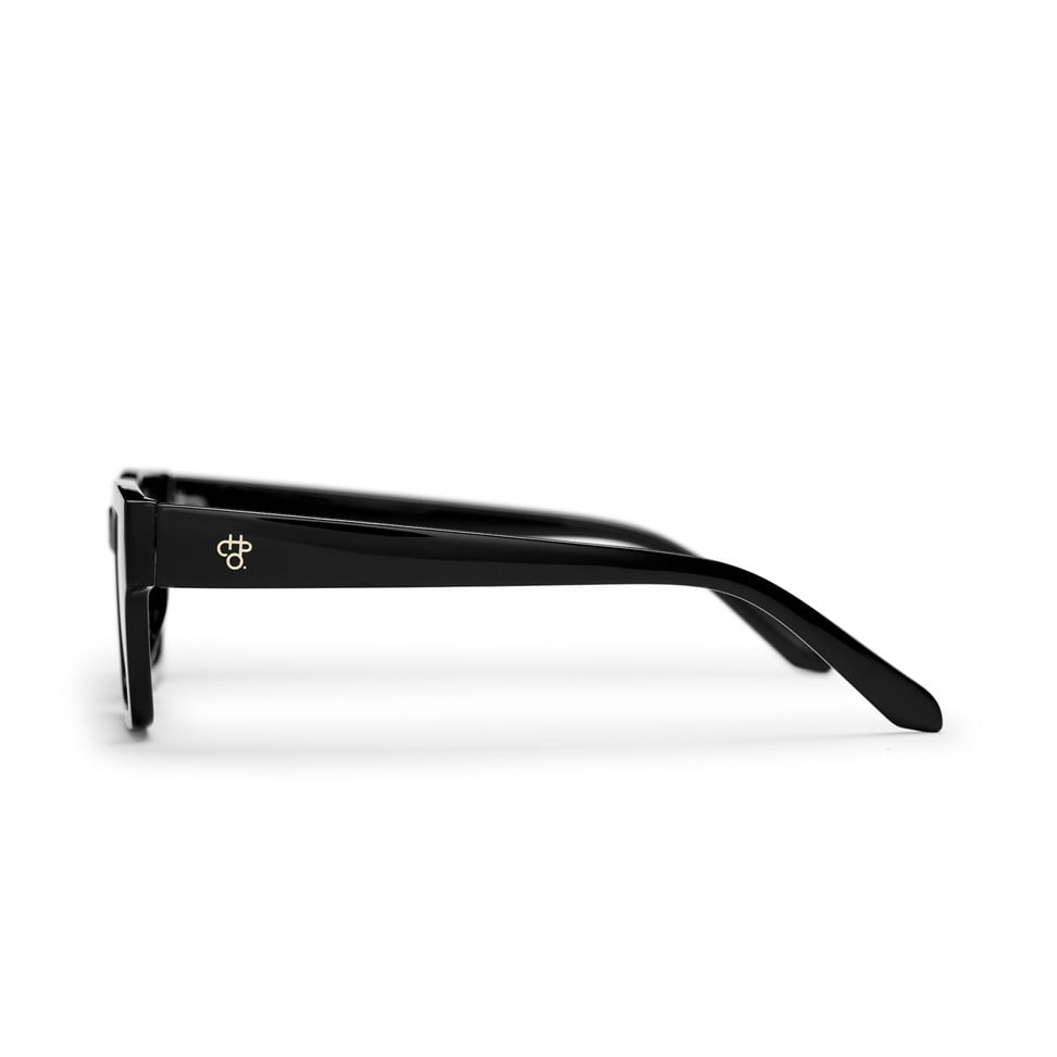 Stellar Sunglasses black/brown CHPO