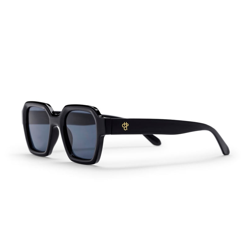 The AK Sunglasses black/black CHPO