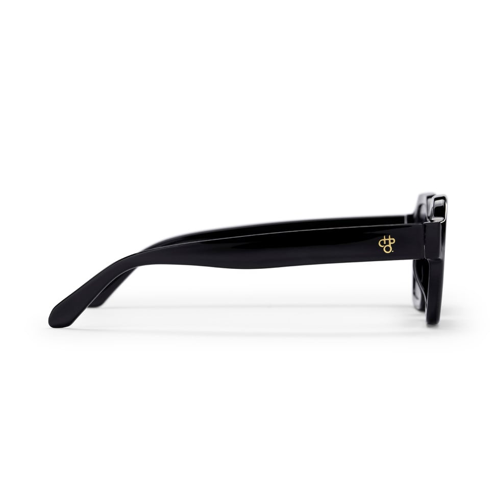The AK Sunglasses black/black CHPO