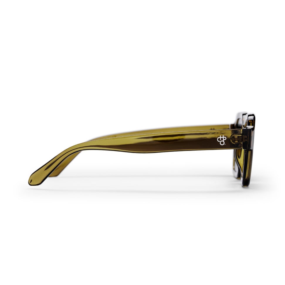 The AK Sunglasses moss green/black CHPO