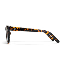 Torö X Sunglasses turtle brown/green CHPO