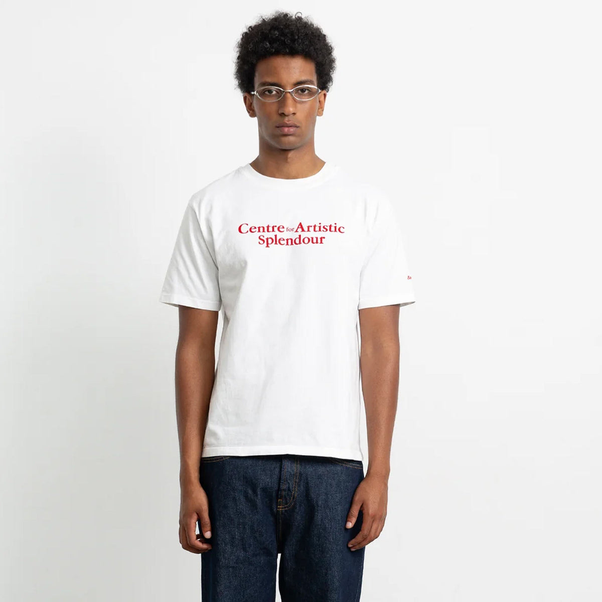 Artistic Splendour T-Shirt plain white
