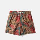 Wilderness Swimshorts plain brown Edmmond Studios