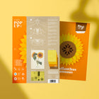Helianthus Annuus Paper Figure Kit Plego Paper