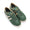 Bullet Pearl evergreen