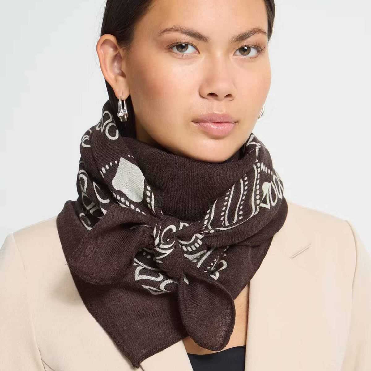 IAMary Scarf chicory coffee