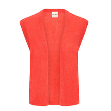 IHBlush Waistcoat poinsettia