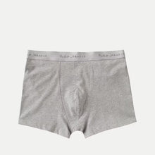 Boxer Briefs 1-Pack grey melange