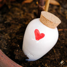 Olla Heart Pepin Plantcare