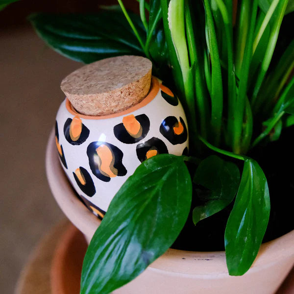 Olla Leopard Pepin Plantcare