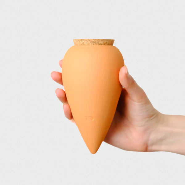 Olla Terracotta Pepin Plantcare